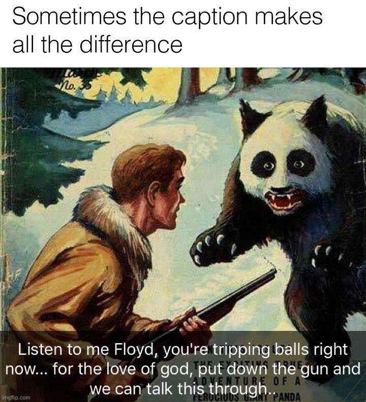 image tagged in memes,funny | made w/ Imgflip meme maker