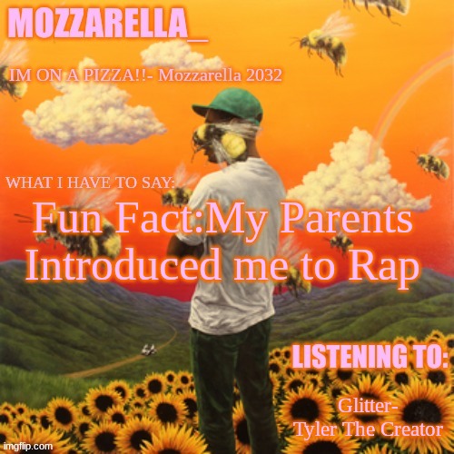 at first I didnt like it but Recently i fell in love with the genre | Fun Fact:My Parents Introduced me to Rap; Glitter- Tyler The Creator | image tagged in flower boy | made w/ Imgflip meme maker