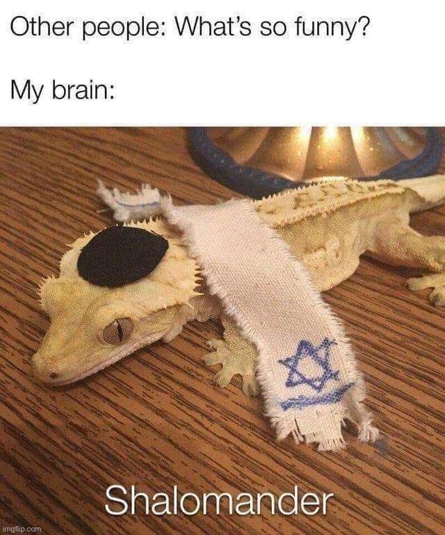 image tagged in memes,funny | made w/ Imgflip meme maker