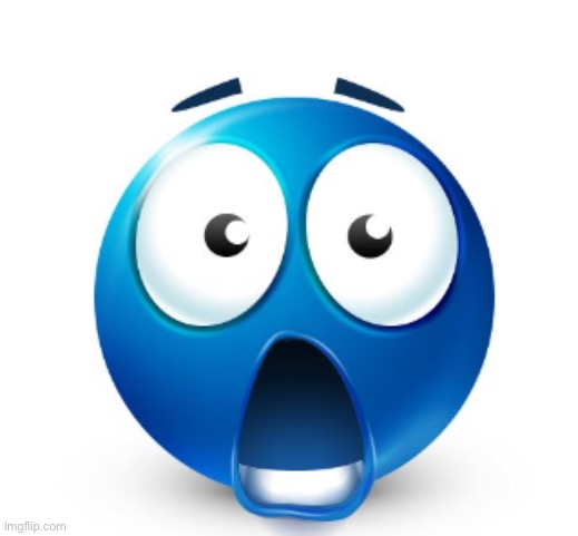 Bro is flabbergasted | image tagged in bro is flabbergasted | made w/ Imgflip meme maker