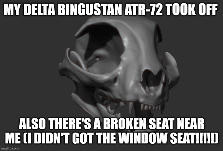 live bingus skull reaction | MY DELTA BINGUSTAN ATR-72 TOOK OFF; ALSO THERE'S A BROKEN SEAT NEAR ME (I DIDN'T GOT THE WINDOW SEAT!!!!!) | image tagged in live bingus skull reaction | made w/ Imgflip meme maker