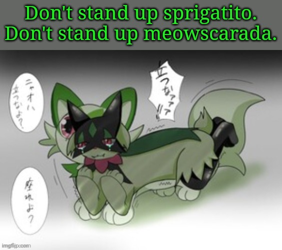 Don't stand up sprigatito.
Don't stand up meowscarada. | image tagged in sprigatito,meowscarada,frost | made w/ Imgflip meme maker
