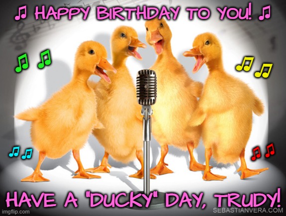Singing Ducks | ♫ HAPPY BIRTHDAY TO YOU! ♫; ♫  ♫; ♫ ♫; ♫ ♫; ♫ ♫; HAVE A "DUCKY" DAY, TRUDY! | image tagged in singing ducks | made w/ Imgflip meme maker