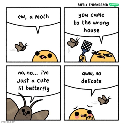 Lil Butterfly | image tagged in butterfly,moth,comics,comic,comics/cartoons,bugs | made w/ Imgflip meme maker