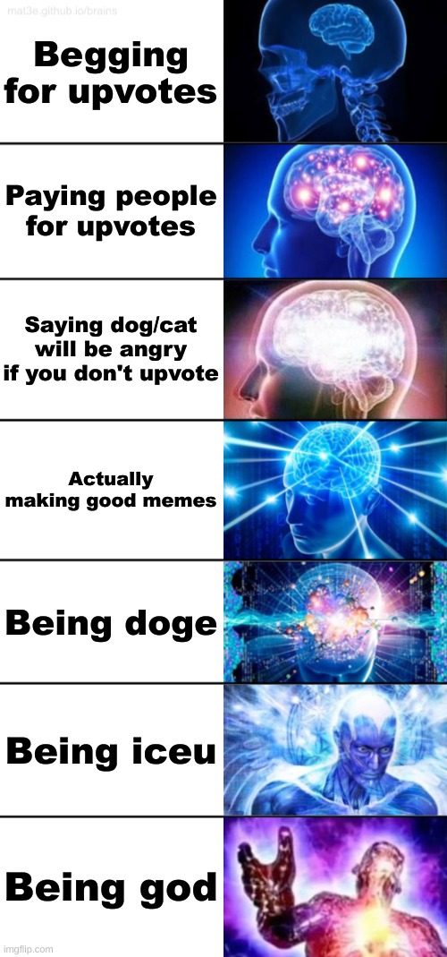 7-Tier Expanding Brain | Begging for upvotes; Paying people for upvotes; Saying dog/cat will be angry if you don't upvote; Actually making good memes; Being doge; Being iceu; Being god | image tagged in 7-tier expanding brain | made w/ Imgflip meme maker