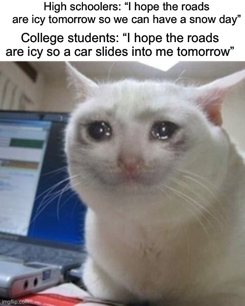 @college students is this true or no, I wouldn’t know | High schoolers: “I hope the roads are icy tomorrow so we can have a snow day”; College students: “I hope the roads are icy so a car slides into me tomorrow” | image tagged in crying cat,memes,funny,true story,relatable memes,school | made w/ Imgflip meme maker