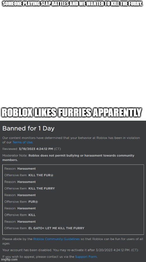 SOMEONE PLAYING SLAP BATTLES AND WE WANTED TO KILL THE FURRY. ROBLOX LIKES FURRIES APPARENTLY | made w/ Imgflip meme maker