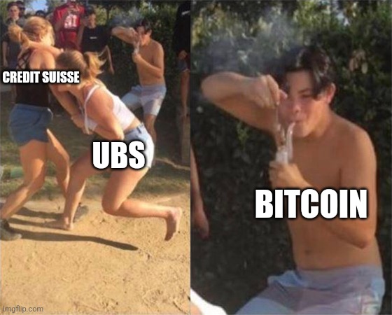 Two girls fighting | CREDIT SUISSE; UBS; BITCOIN | image tagged in two girls fighting | made w/ Imgflip meme maker