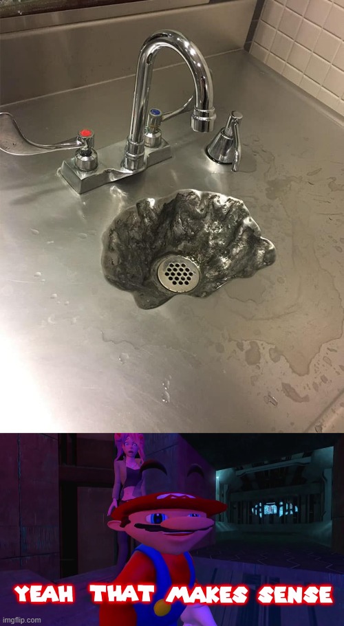 Some genius tried to dig a sink. | image tagged in smg4 mario yeah that makes sense,yeah that makes sense,you had one job,memes | made w/ Imgflip meme maker