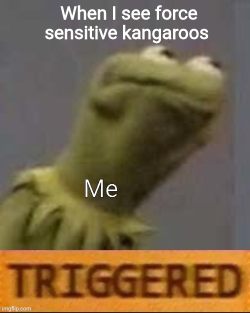 Force sensitive kangaroos | When I see force sensitive kangaroos; Me | image tagged in kermit triggered | made w/ Imgflip meme maker