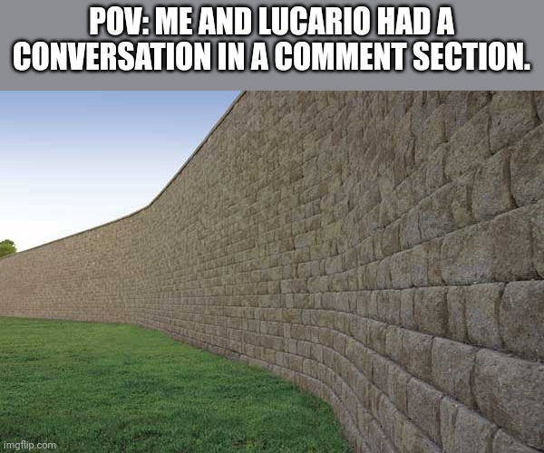 the great wall of mexico | POV: ME AND LUCARIO HAD A CONVERSATION IN A COMMENT SECTION. | image tagged in the great wall of mexico | made w/ Imgflip meme maker