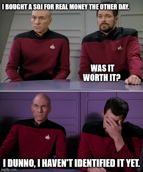 Might be good | I BOUGHT A SOJ FOR REAL MONEY THE OTHER DAY. WAS IT WORTH IT? I DUNNO, I HAVEN'T IDENTIFIED IT YET. | image tagged in picard riker listening to a pun,d 2 r,soj,unidentified | made w/ Imgflip meme maker