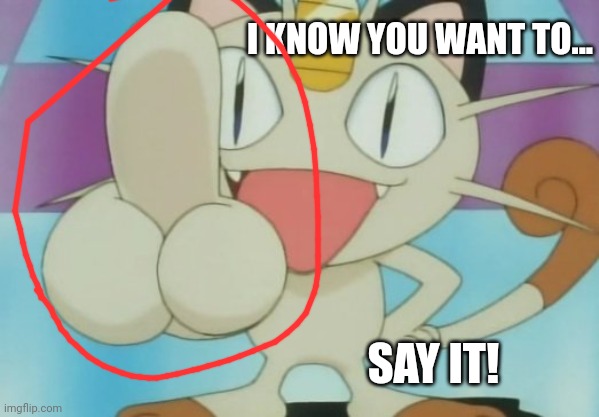 Meowth Dickhand | I KNOW YOU WANT TO... SAY IT! | image tagged in meowth dickhand | made w/ Imgflip meme maker