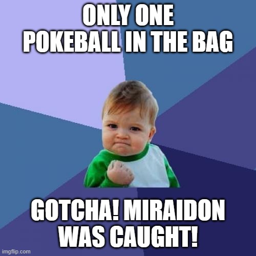 Success Kid | ONLY ONE POKEBALL IN THE BAG; GOTCHA! MIRAIDON WAS CAUGHT! | image tagged in memes,success kid | made w/ Imgflip meme maker
