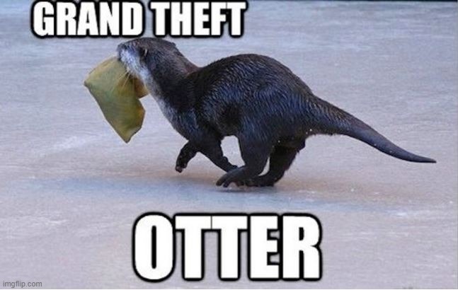 Grand Theft Otter | image tagged in bad pun,memes,funny | made w/ Imgflip meme maker
