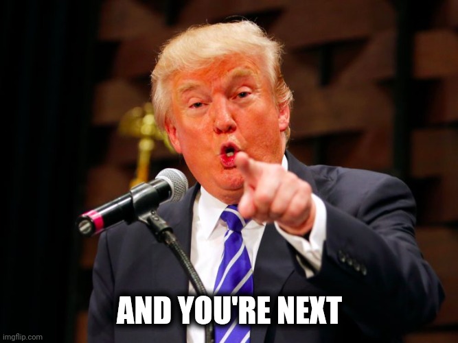 trump point | AND YOU'RE NEXT | image tagged in trump point | made w/ Imgflip meme maker