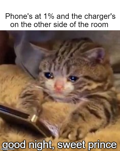 Crying cat on phone | Phone's at 1% and the charger's on the other side of the room; good night, sweet prince | image tagged in crying cat on phone | made w/ Imgflip meme maker