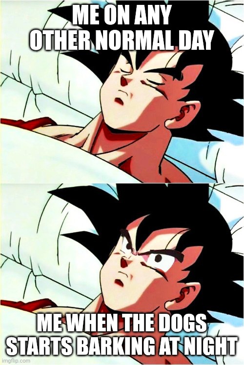 goku sleeping wake up | ME ON ANY OTHER NORMAL DAY; ME WHEN THE DOGS STARTS BARKING AT NIGHT | image tagged in goku sleeping wake up,funny,so true memes,sleeping,dogs | made w/ Imgflip meme maker