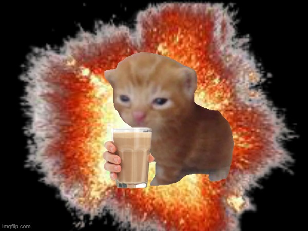 Herbert gifts you more choccy milk | image tagged in herbert,cat,fire,explosion,choccy milk,memes | made w/ Imgflip meme maker