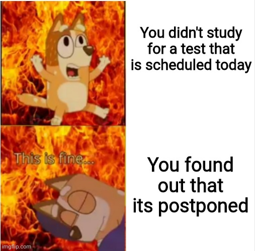 Funny because it's true | You didn't study for a test that is scheduled today; You found out that its postponed | image tagged in bluey chili pain,memes,school,relatable,test | made w/ Imgflip meme maker