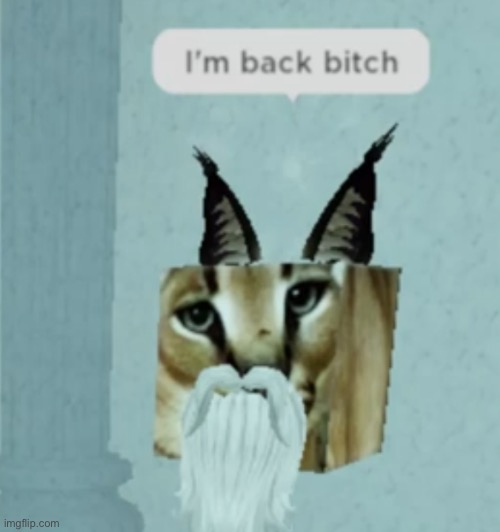 image tagged in im back b tch | made w/ Imgflip meme maker