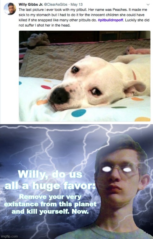 it's not the dog. it's the person who trains the dog. | Willy, do us all a huge favor:; Remove your very existance from this planet and kill yourself. Now. | image tagged in corrupt irl funny lightning man | made w/ Imgflip meme maker