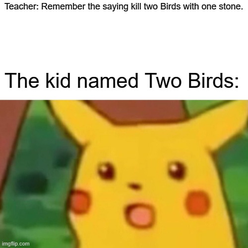 Legend says that Two Birds is still in constant fear. | Teacher: Remember the saying kill two Birds with one stone. The kid named Two Birds: | image tagged in memes,surprised pikachu | made w/ Imgflip meme maker