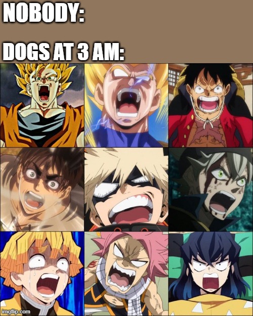 WILL YOU CLAM UP!? | NOBODY:; DOGS AT 3 AM: | image tagged in yelling | made w/ Imgflip meme maker