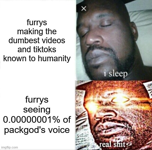 Sleeping Shaq | furrys making the dumbest videos and tiktoks known to humanity; furrys seeing 0.00000001% of packgod's voice | image tagged in memes,sleeping shaq | made w/ Imgflip meme maker