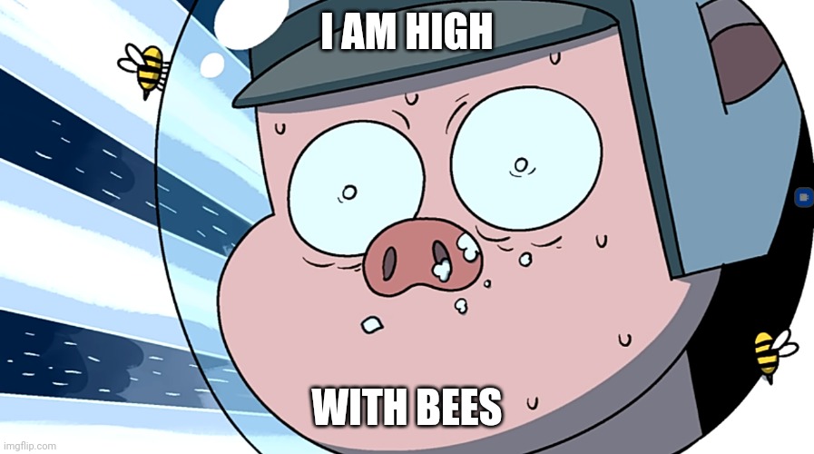 High Bees | I AM HIGH; WITH BEES | image tagged in pig on cocaine | made w/ Imgflip meme maker