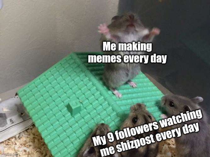 Hamster King of the Mountain | Me making memes every day; My 9 followers watching me shizpost every day | image tagged in hamster king of the mountain,followers,hamburger | made w/ Imgflip meme maker