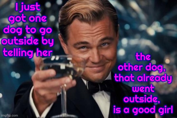 Who's A Good Girl?  Not You. | I just got one dog to go outside by telling her; the other dog, 
that already went outside, 
is a good girl | image tagged in memes,leonardo dicaprio cheers,mind games,good dog,good girl,silly dog | made w/ Imgflip meme maker