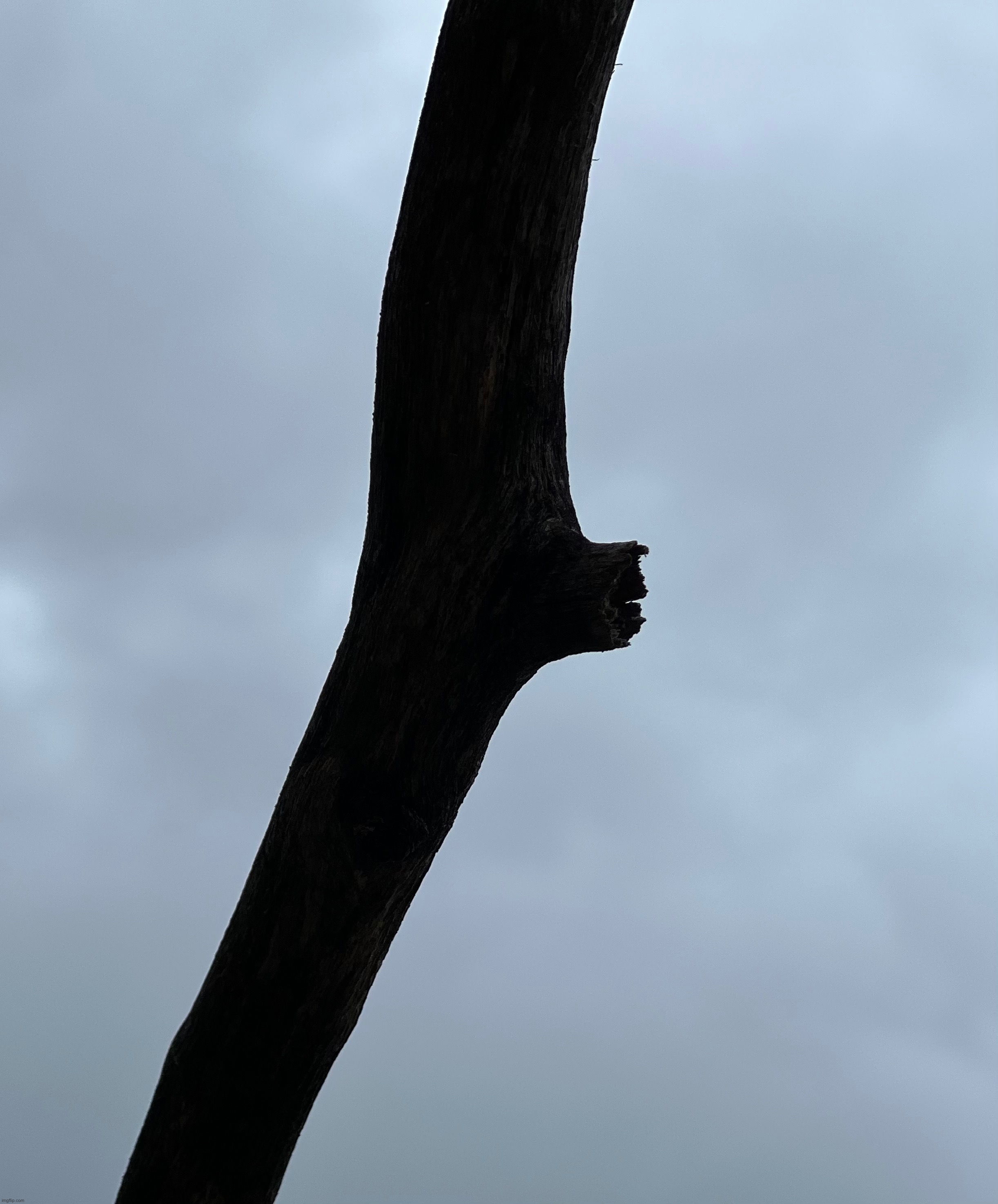 Stick and clouds | made w/ Imgflip meme maker