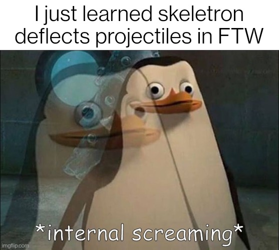 It's not just when he's spinning either, he ALWAYS deflects them, and his hands do too | I just learned skeletron deflects projectiles in FTW | image tagged in private internal screaming | made w/ Imgflip meme maker