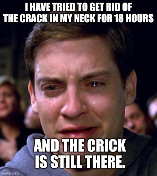 It hurts so much :( | I HAVE TRIED TO GET RID OF THE CRACK IN MY NECK FOR 18 HOURS; AND THE CRICK IS STILL THERE. | image tagged in crying peter parker | made w/ Imgflip meme maker