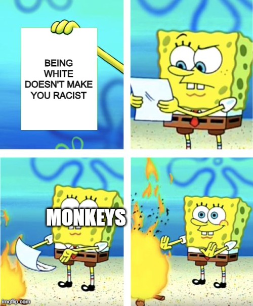 Aw, did I just do a racism? | BEING WHITE DOESN'T MAKE YOU RACIST; MONKEYS | image tagged in spongebob burning paper | made w/ Imgflip meme maker