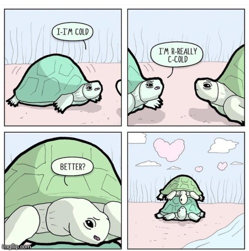 Wholesome turtle | image tagged in wholesome,turtle,turtles,cold,comics,comics/cartoons | made w/ Imgflip meme maker