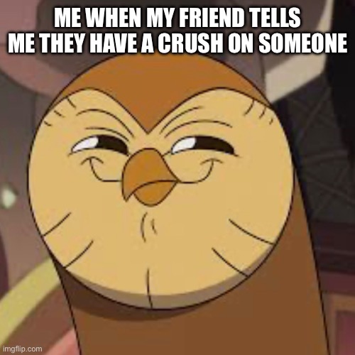 Hoot Hoot >:) | ME WHEN MY FRIEND TELLS ME THEY HAVE A CRUSH ON SOMEONE | image tagged in friends | made w/ Imgflip meme maker