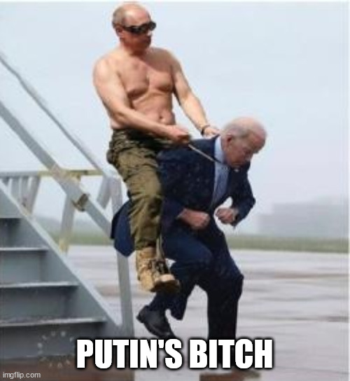 PUTIN'S BITCH | made w/ Imgflip meme maker