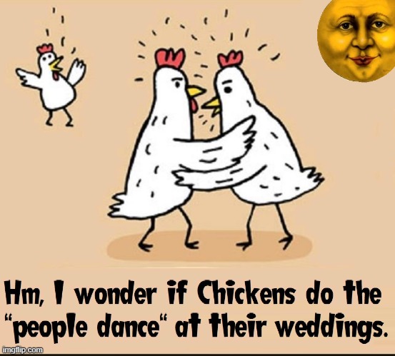 Don't Count Your Chickens Before They Dance. | image tagged in vince vance,chicken dance,comics/cartoons,hen,poultry,chick | made w/ Imgflip meme maker