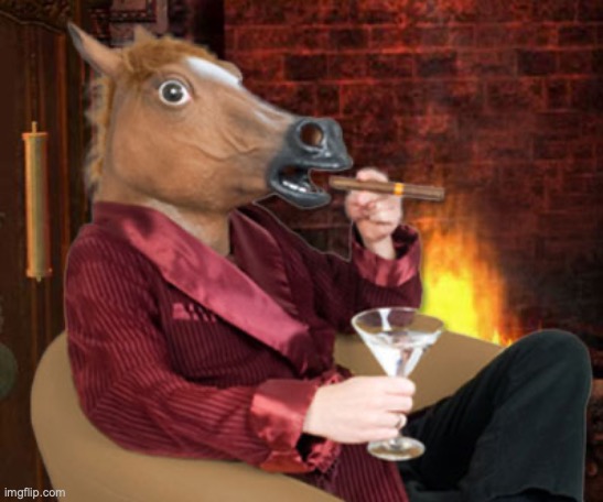 Horse head mask and now we wait | image tagged in horse head mask and now we wait | made w/ Imgflip meme maker