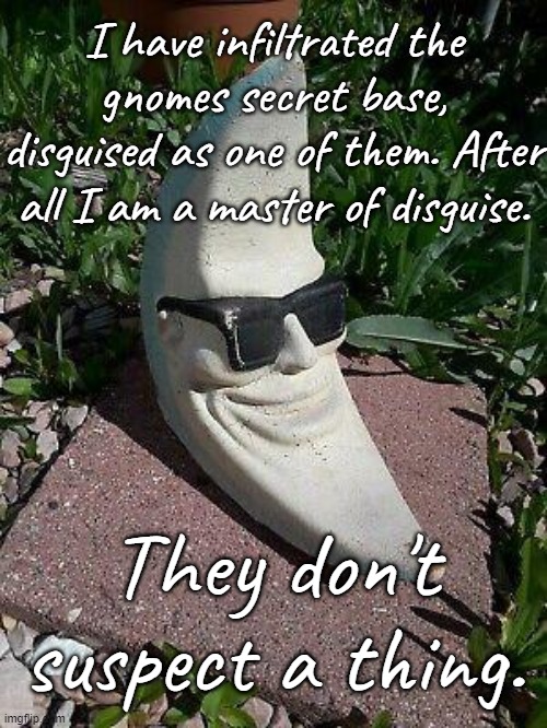  I have infiltrated the gnomes secret base, disguised as one of them. After all I am a master of disguise. They don't suspect a thing. | made w/ Imgflip meme maker