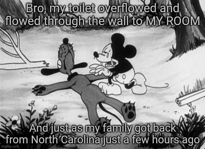 I hate today | Bro, my toilet overflowed and flowed through the wall to MY ROOM; And just as my family got back from North Carolina just a few hours ago | image tagged in mickey mouse with dead pluto | made w/ Imgflip meme maker