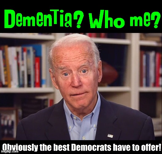 Be Proud, Liberals. You have such a talented leader! | image tagged in vince vance,corrupt,perv,joe biden,senile,political memes | made w/ Imgflip meme maker