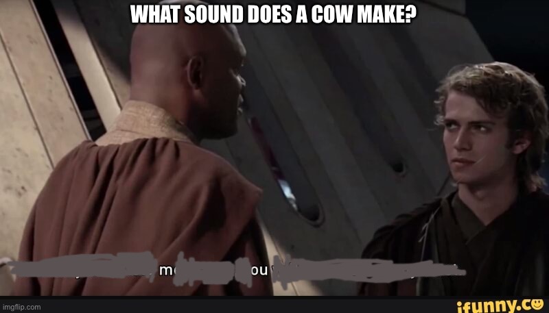 mou | WHAT SOUND DOES A COW MAKE? | image tagged in if what you have told me is true you will have gained my trust,e | made w/ Imgflip meme maker