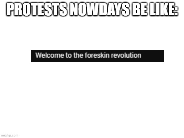  PROTESTS NOWDAYS BE LIKE: | image tagged in protest,satire | made w/ Imgflip meme maker
