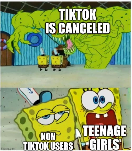 tiktok | TIKTOK IS CANCELED; TEENAGE GIRLS; NON TIKTOK USERS | image tagged in spongebob squarepants scared but also not scared | made w/ Imgflip meme maker