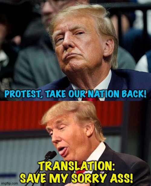 Trump only cares about Trump | PROTEST, TAKE OUR NATION BACK! TRANSLATION:
SAVE MY SORRY ASS! | image tagged in stupid trump | made w/ Imgflip meme maker