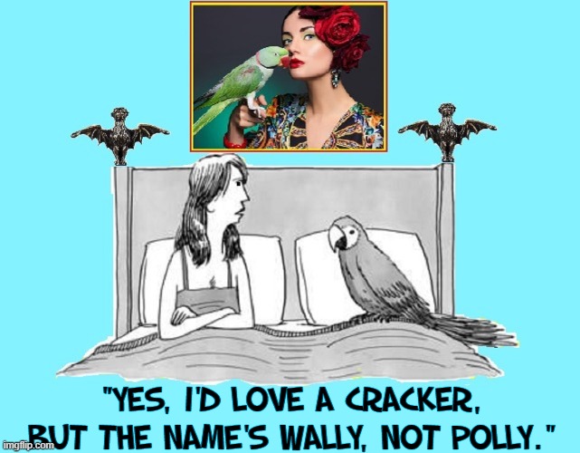 Right Bird; Wrong Word | "YES, I'D LOVE A CRACKER, BUT THE NAME'S WALLY, NOT POLLY." | image tagged in vince vance,parrot,in bed,memes,comics/cartoons,birds | made w/ Imgflip meme maker