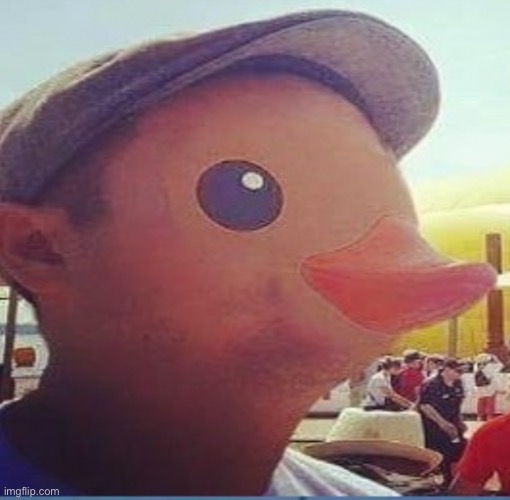 quack i guess | image tagged in duckman | made w/ Imgflip meme maker